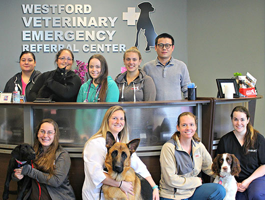 Westford Veterinary Emergency Care