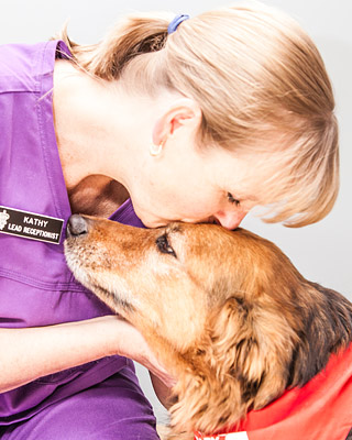 Westford Emergency Veterinary Staff