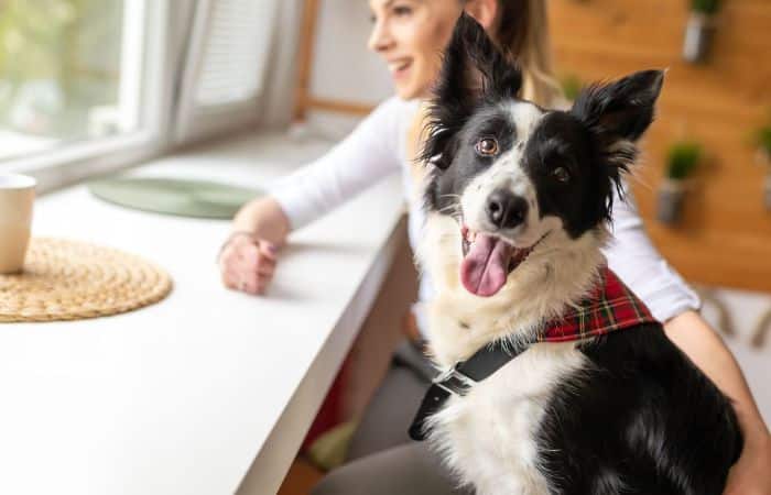 Westford Veterinary Emergency Referral Center Building