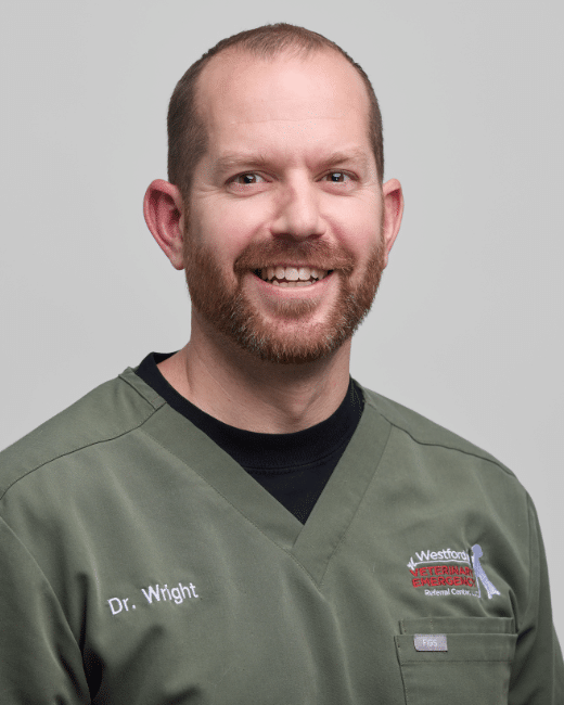 Lauren Wilmarth</p>
<p>