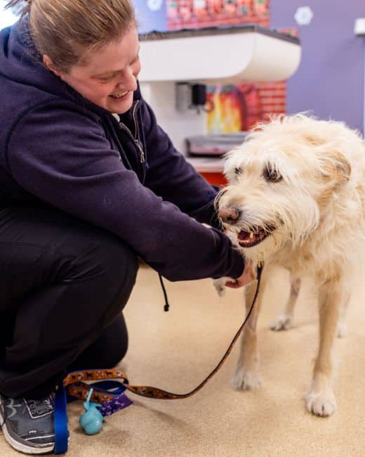 A woman gently pets a dog while sitting