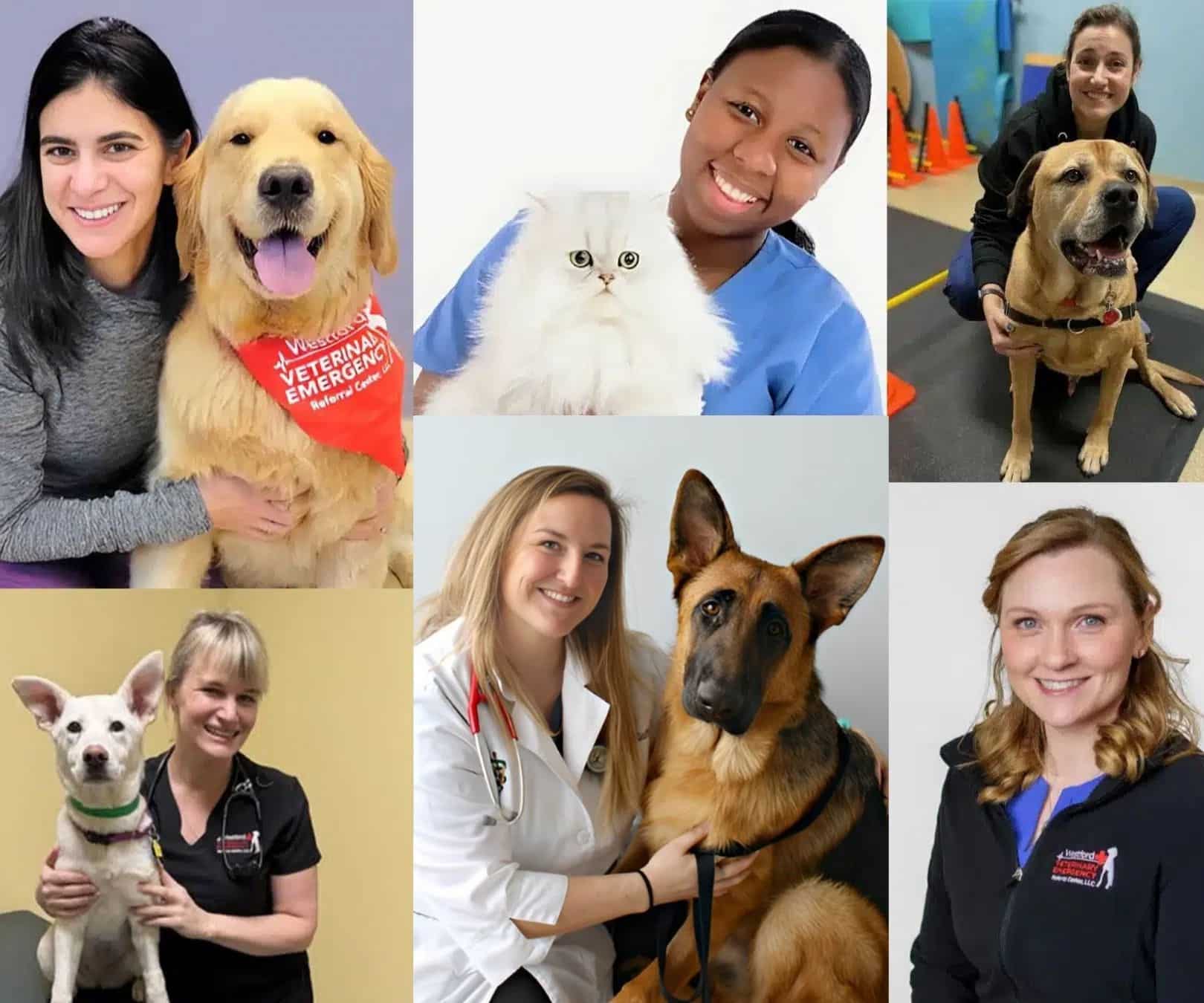 Westford Veterinary Emergency Referral Center team img